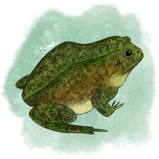 A painting of a frog