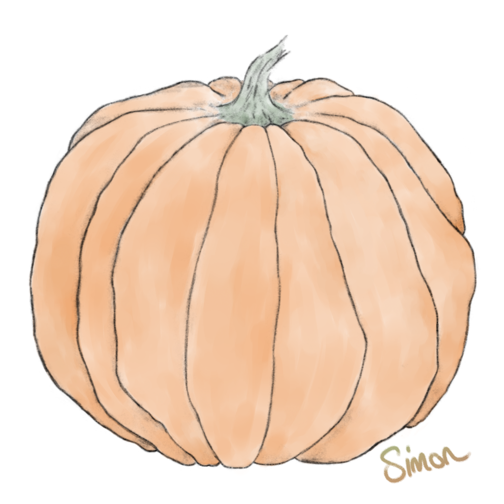 A sketch of a pumpkin